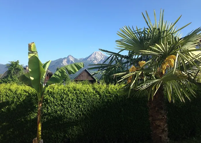 Maison d'hôtes Seerose