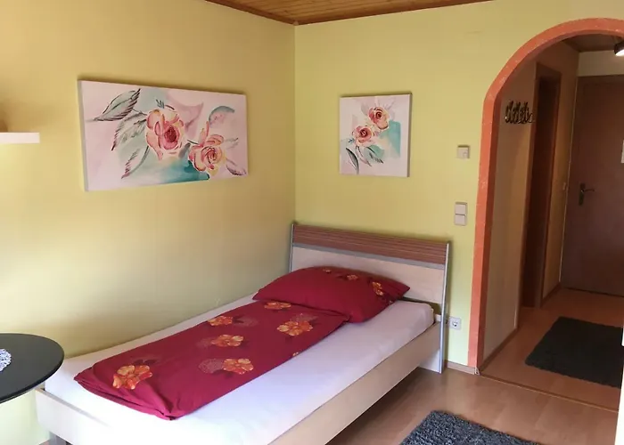 Seerose Guest house 3*